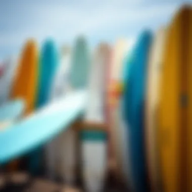 Variety of surfboards available for rent