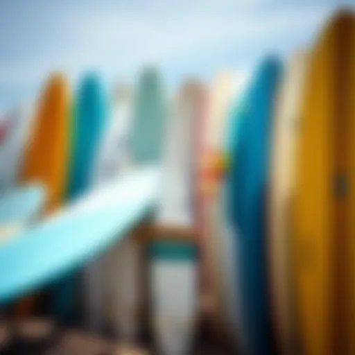 Diverse Range of Surfboards Variety of surfboards available for rent