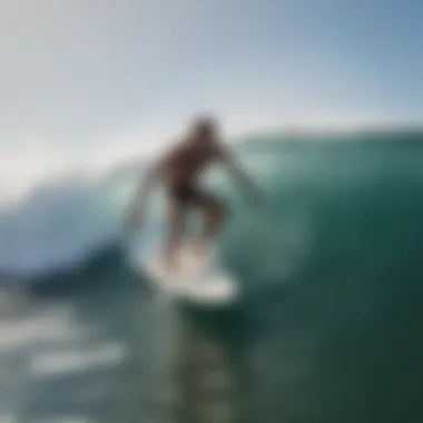 A group of surfers engaged in environmental conservation efforts