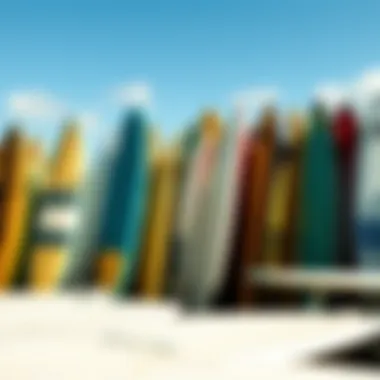 Variety of Surfboards Ready for Adventure Surfboard collection ready for adventure