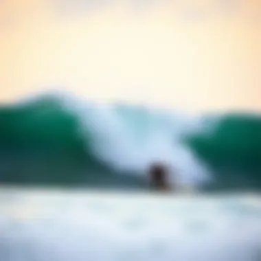 Community section of Surfline app highlighting user engagement