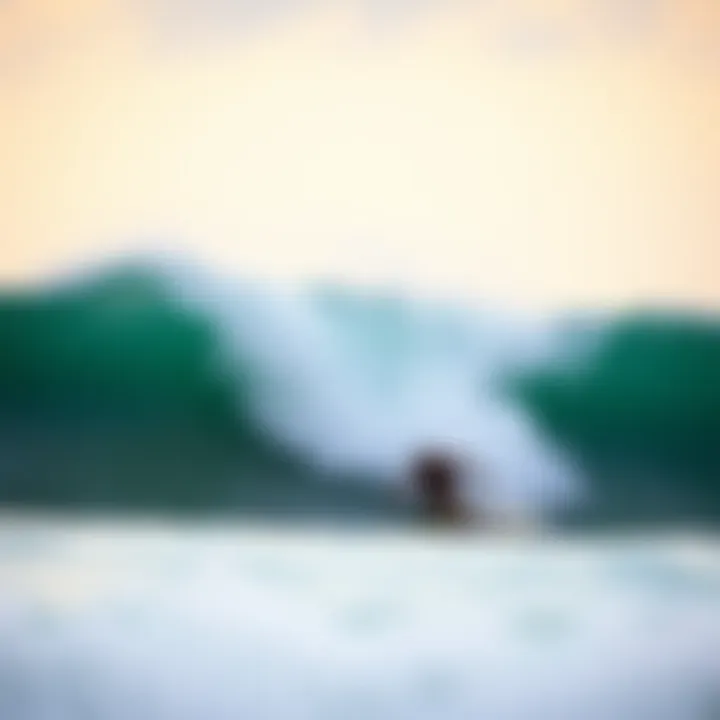 Community section of Surfline app highlighting user engagement