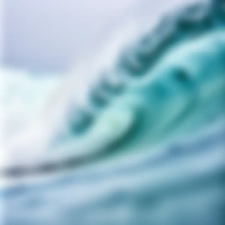 Close-up of Wave Formation at Salt Creek Detailed close-up of wave formation at Salt Creek