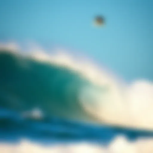 A vibrant wave crashing on the shore, symbolizing the essence of surf culture.