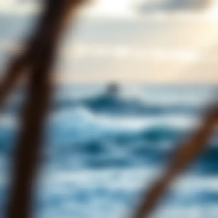 A serene ocean view, highlighting the importance of ocean conservation.