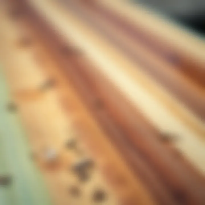 A close-up shot of the materials used in Ten Toes longboards, highlighting sustainability
