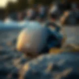 Innovative Design of a Surfing Speaker Innovative design of a surfing speaker