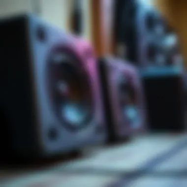 Technical features of modern surfing speakers