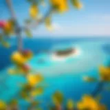 Aerial View of Maldives Atoll Aerial view of a stunning Maldives atoll showcasing clear turquoise waters and vibrant coral reefs