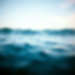 The Depths of Reflection: Quotes on Water in Surf Culture Introduction