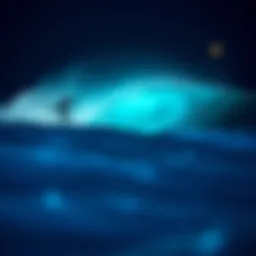 A mesmerizing display of bioluminescence in ocean waves at night