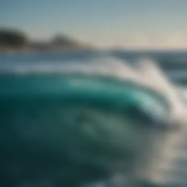 Promoting Ocean Conservation through Technology Visual representation of ocean conservation efforts inspired by the Live Wave app