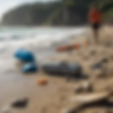 Beach Cleanup Efforts An image of beach cleanup efforts