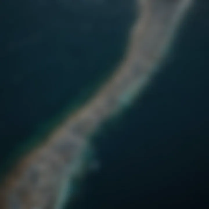 An aerial view of the Great Pacific Garbage Patch showcasing the vastness of plastic waste in the ocean.