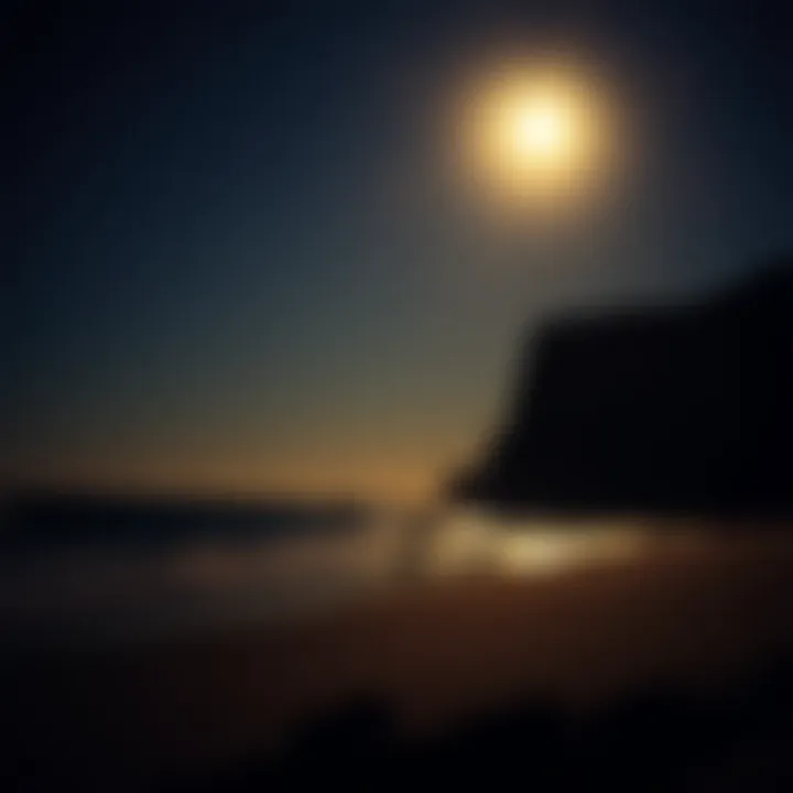 A Tranquil Night by the Ocean A serene night beach scene illuminated by moonlight