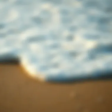 The Gentle Embrace of Ocean Foam Close-up of ocean foam on the beach with gentle ripples