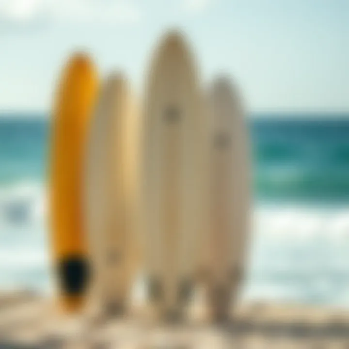 Surfboard Shapes and Deck Designs Illustration of different surfboard shapes and deck designs