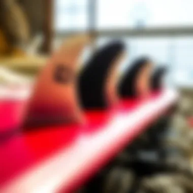 Fins and Their Placement Comparison of various fins and their placement on surfboards