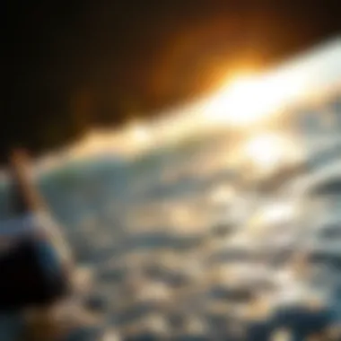 Sleek Design of the TICA Dolphin Surf Rod TICA Dolphin surf rod showcasing its sleek design and materials