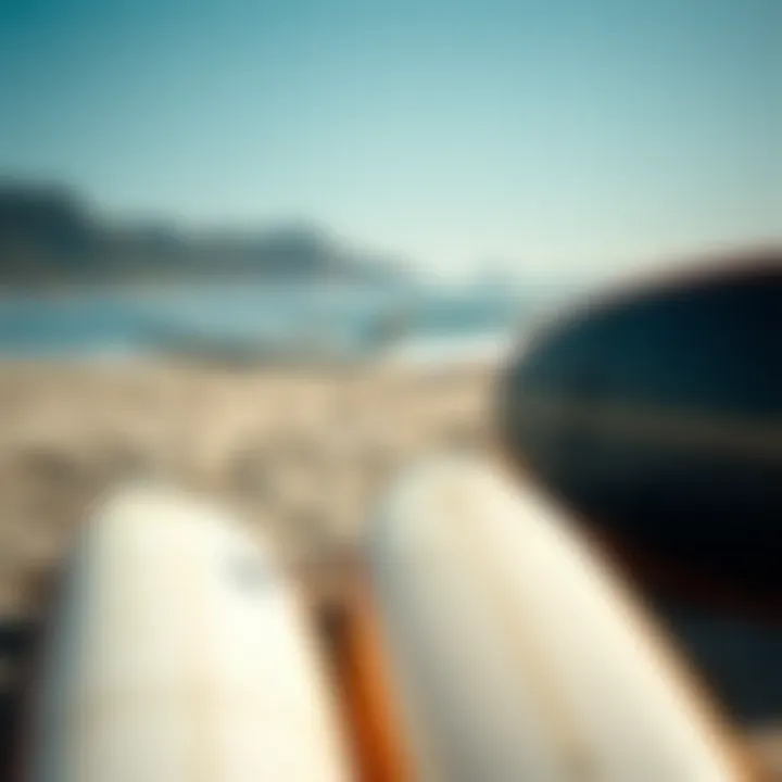 Surfboards Ready for Adventure at Tourmaline Close-up of surfboards resting on the sand, with Tourmaline Surfline in the background.
