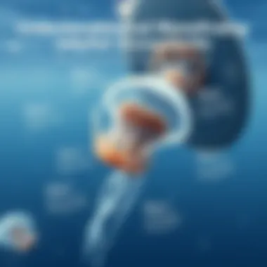 Strategies for Minimizing Jellyfish Encounters Diagram showing preventive measures for jellyfish encounters