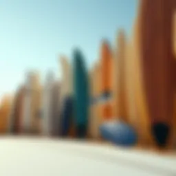 A variety of surfboards showcasing different shapes and sizes