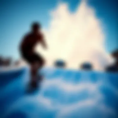 Comparative Analysis of Flowrider Pricing Comparative analysis of Flowrider pricing