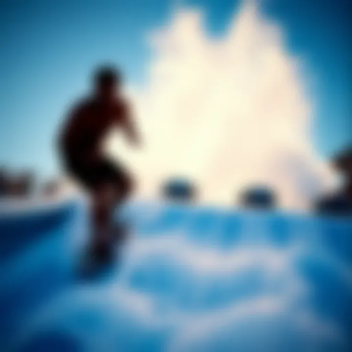 Comparative Analysis of Flowrider Pricing Comparative analysis of Flowrider pricing