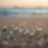 Close-up of microplastics on a sandy beach