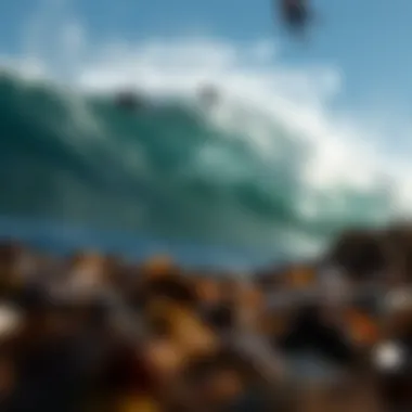 Sources of Microplastics Infographic showing sources of microplastics