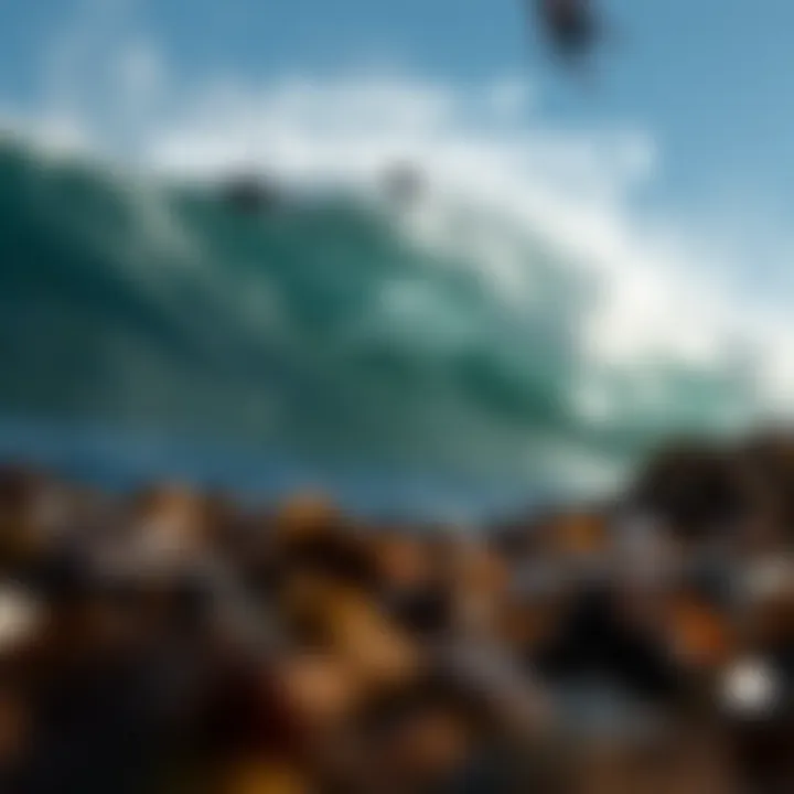 Sources of Microplastics Infographic showing sources of microplastics