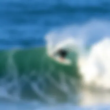 Surfer Riding a Perfect Wave in Mundaka Surfer riding a perfect wave in Mundaka