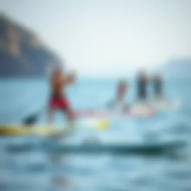 Diverse Paddling Styles on Water Diverse paddleboards on water showcasing various paddling styles