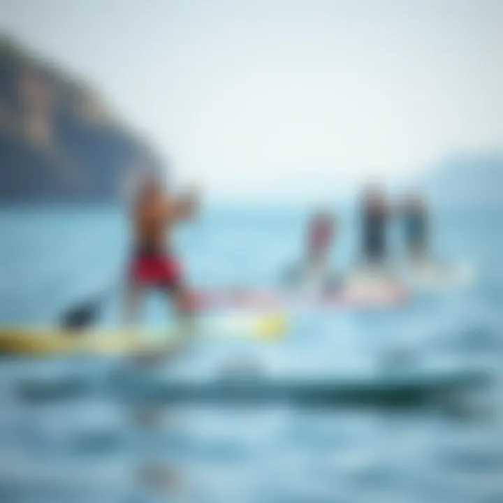 Diverse Paddling Styles on Water Diverse paddleboards on water showcasing various paddling styles