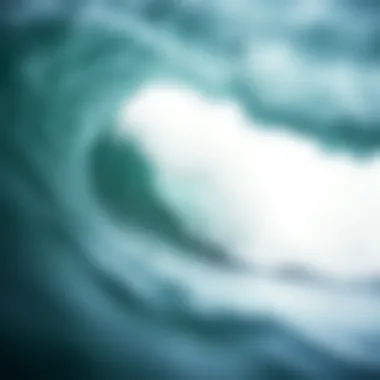 Coastal Conservation Conservation efforts for coastal ecosystems supporting surf culture