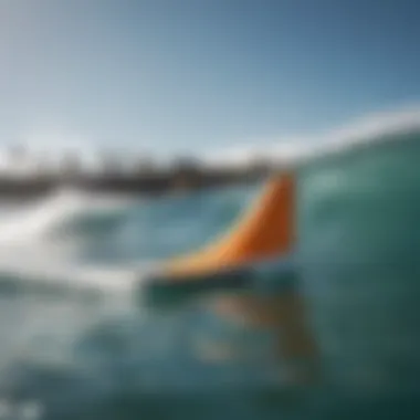 Eco-Friendly Swim Fins for the Conscious Surfer Eco-friendly swim fins emphasizing sustainable practices