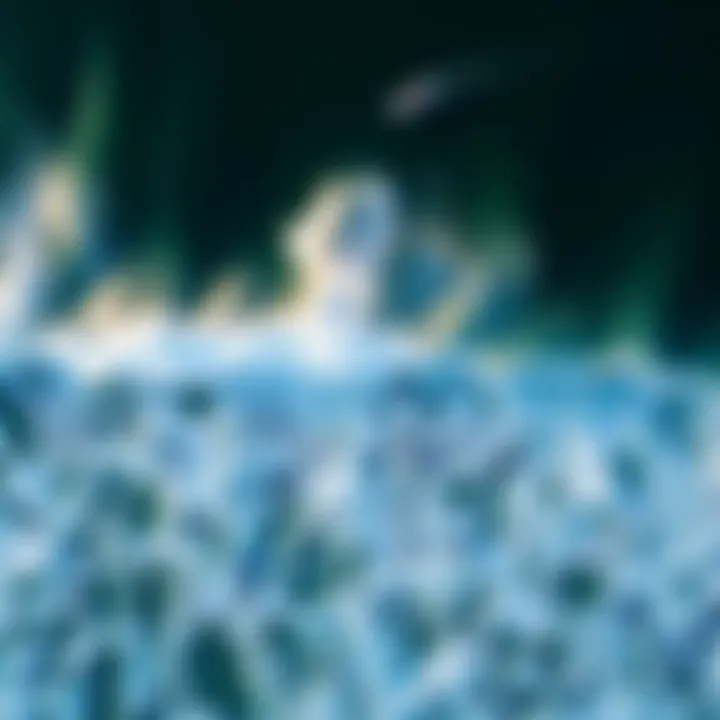 Aerial view of a renowned surf location showcasing standing waves