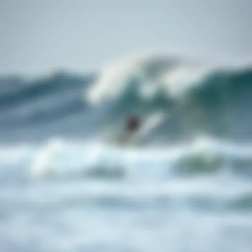 Dynamic Formation of Standing Waves Dynamic formation of standing waves on a vibrant surfboard