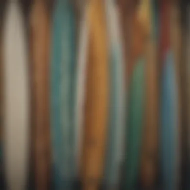 A selection of varied surfboards showcasing different styles.