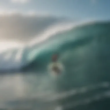 Surfers assessing wave conditions influenced by wind