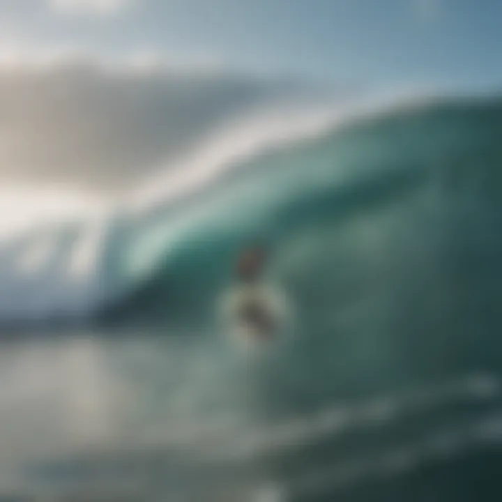 Surfers assessing wave conditions influenced by wind