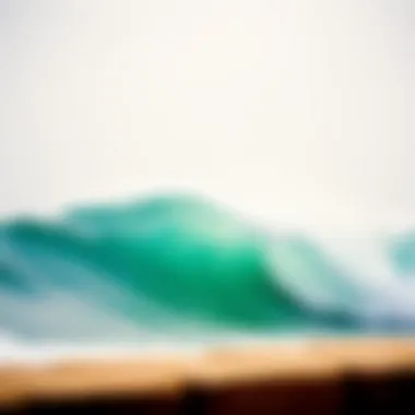 Environmental considerations of surf parks