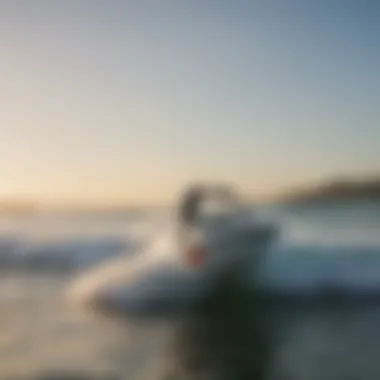 A group of enthusiasts enjoying a wake surfing community event