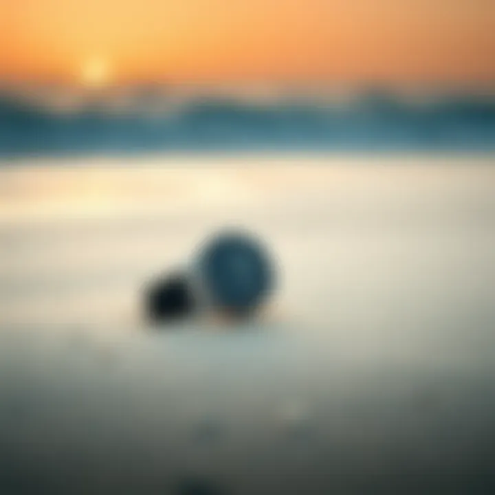 Stylish Surf Watch on a Sandy Beach Stylish surf watch on a sandy beach