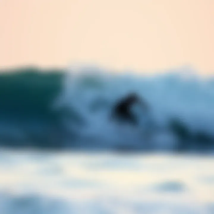 Surfers navigating through polluted waters