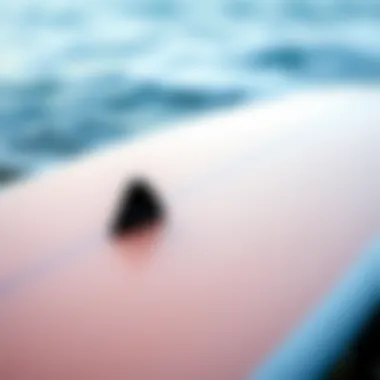 Design Features of the Wavestorm Longboard Detail view of the Wavestorm longboard's design