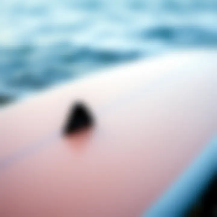 Design Features of the Wavestorm Longboard Detail view of the Wavestorm longboard's design