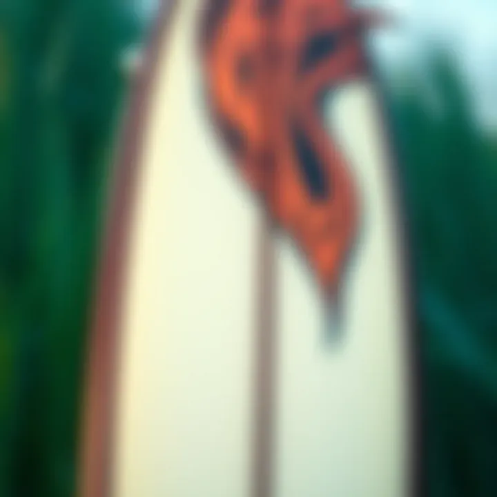 Detail of Zap skimboard showcasing its unique design and craftsmanship.