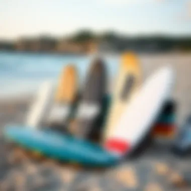 A variety of Zap skimboards displayed on a beach, highlighting different models.